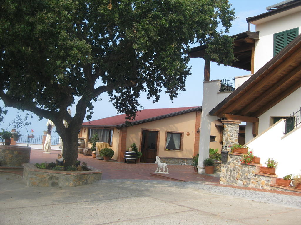 Agritursmo Montesalerno Villa Diamante Esterno foto